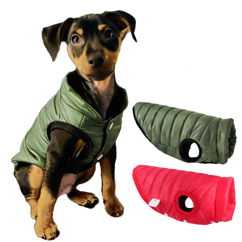 Winter Clothing In French - Veste chaude pour chien, vêtements d'automne