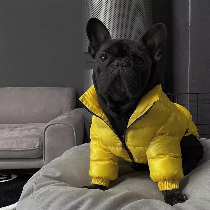Winter Clothing In French - Carlin chien manteau veste bouledogue français