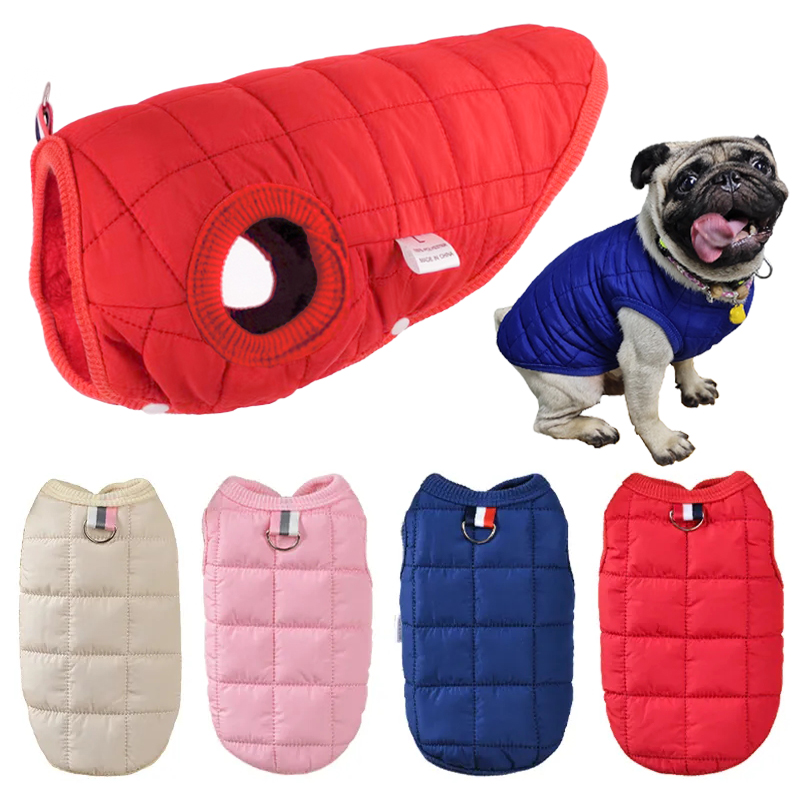 Winter Clothing In French - Veste d'hiver en coton pour animaux