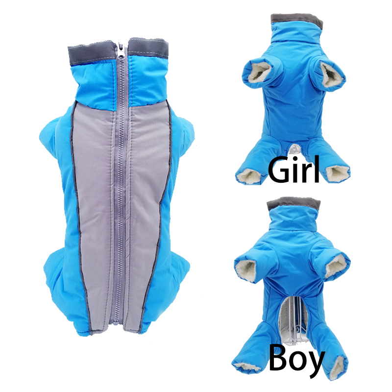 Winter Clothing In French - Vêtements d'hiver pour chiens de compagnie,