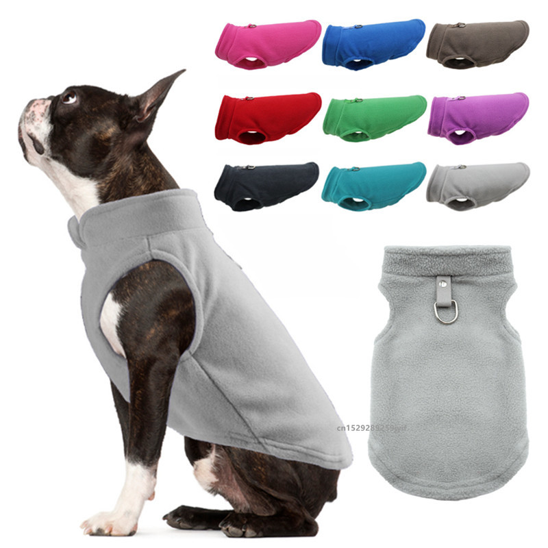 Winter Clothing In French - Vêtements chauds d'hiver pour chiens, veste