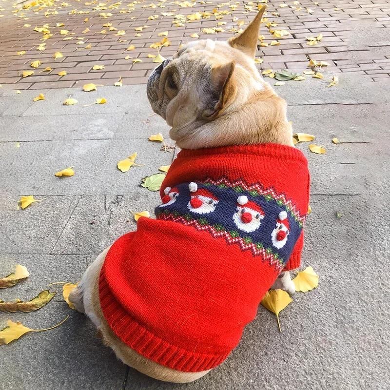 Pull de Noël pour chien, mante - Winter Clothing In French avis et prix