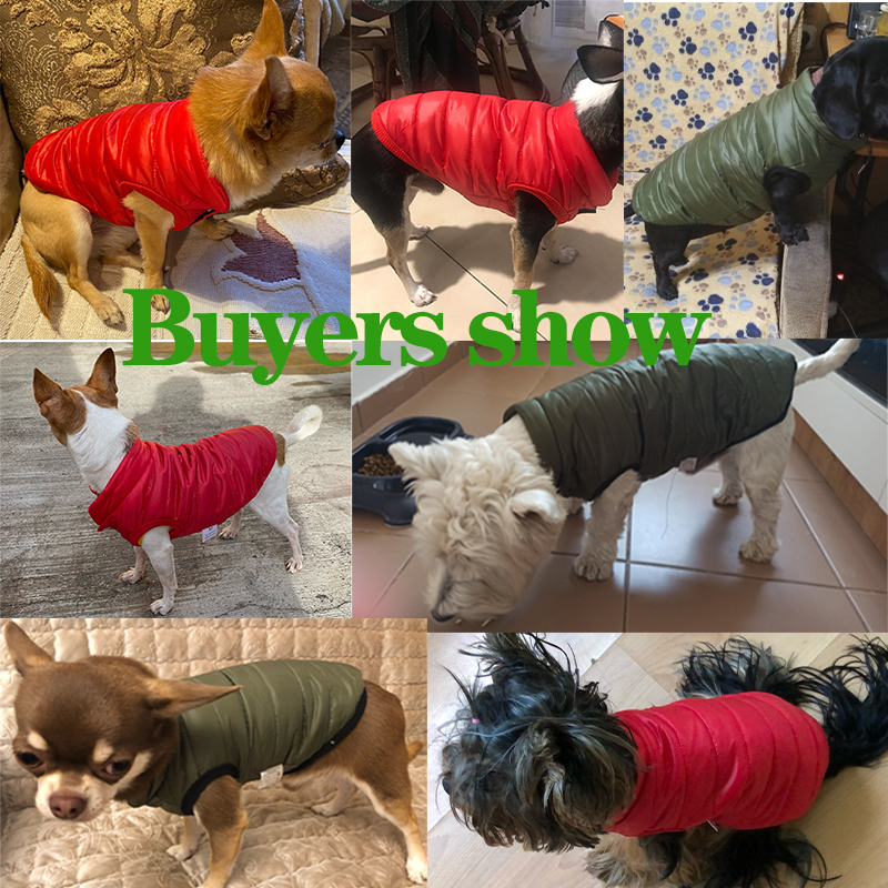 Veste chaude pour chien, vêtem - Winter Clothing In French avis et prix