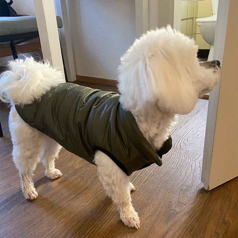 Veste chaude pour chien, vêtem - Winter Clothing In French avis et prix