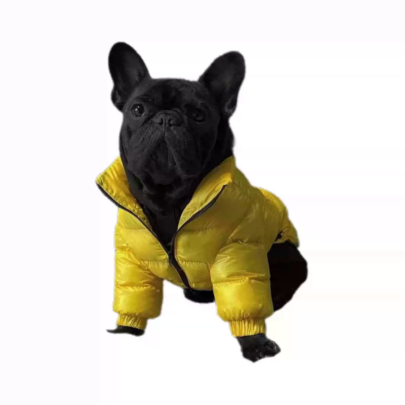 Carlin chien manteau veste bou - Winter Clothing In French avis et prix