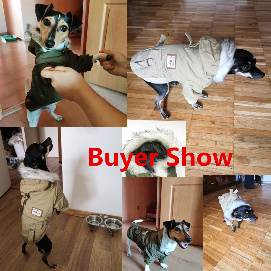 Veste d'hiver pour chien, vête - Winter Clothing In French avis et prix