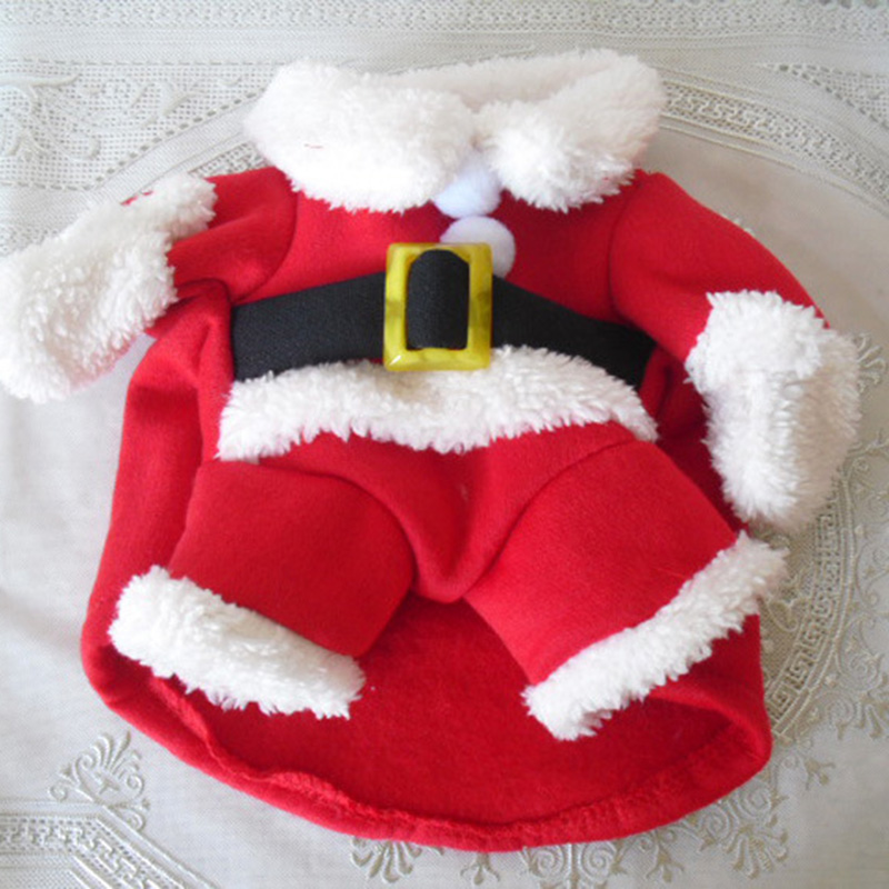 Veste d'hiver pour chien, mant - Winter Clothing In French avis et prix