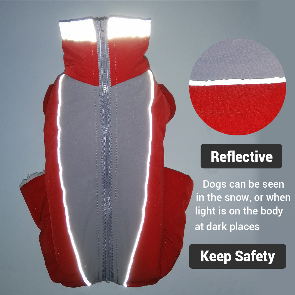Vêtements d'hiver pour chiens  - Winter Clothing In French avis et prix