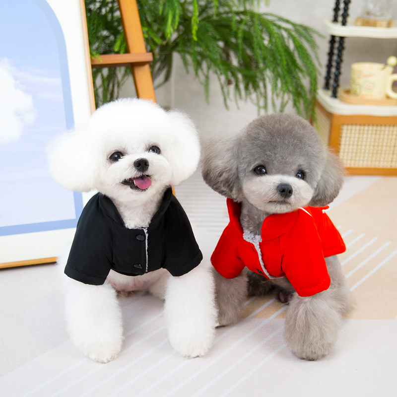 Veste d'hiver pour animaux de  - Winter Clothing In French avis et prix