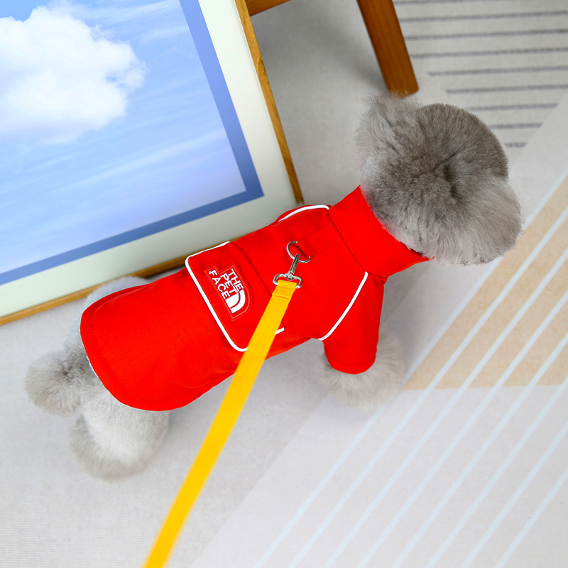Veste d'hiver pour animaux de  - Winter Clothing In French avis et prix