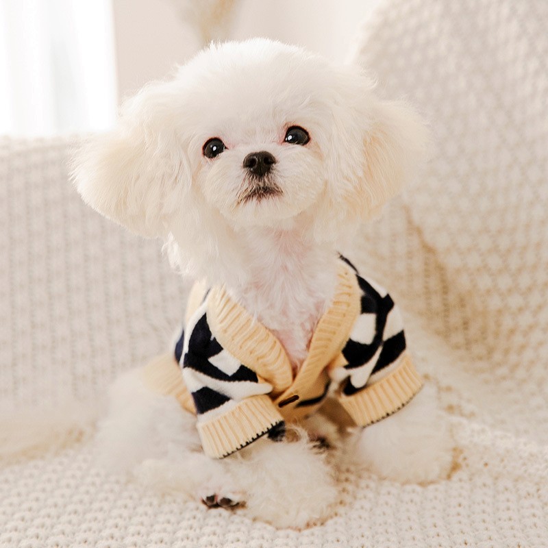 Vêtements de luxe pour chiens, - Winter Clothing In French avis et prix